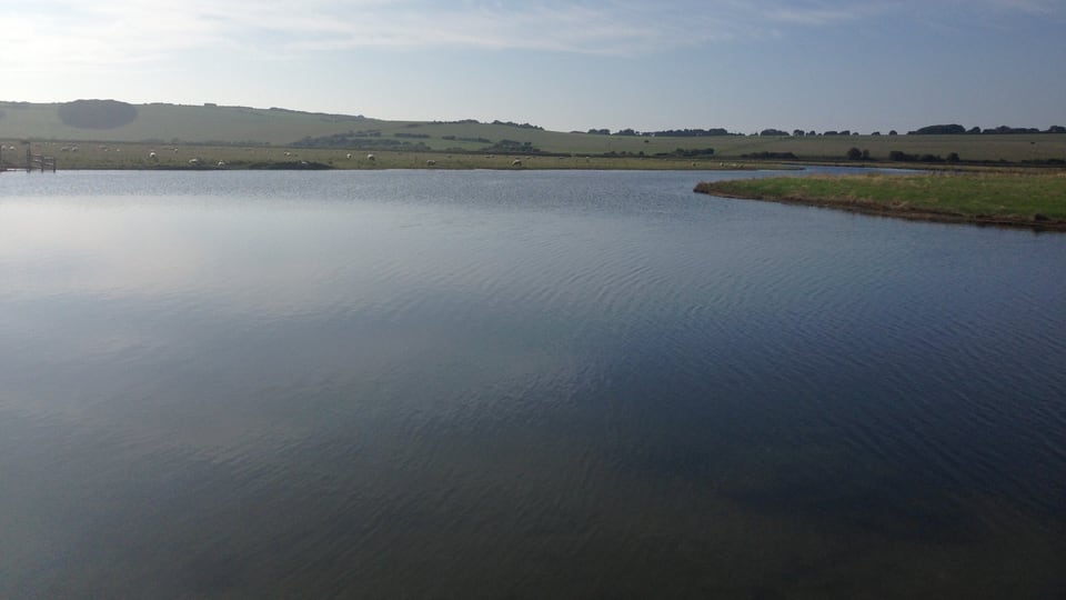 Cuckmere 河道在开阔谷地中弯曲，低矮草坡从两侧缓缓抬起。